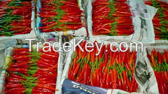 Vietnam frozen hot chilli with best quality band price