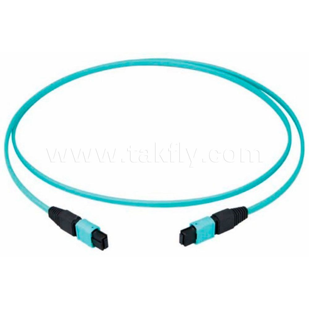 High Density MPO to MPO/LC Patch Cord for Data Center