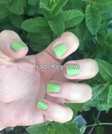 504 Stone crop vegan nail polish [limited edition]