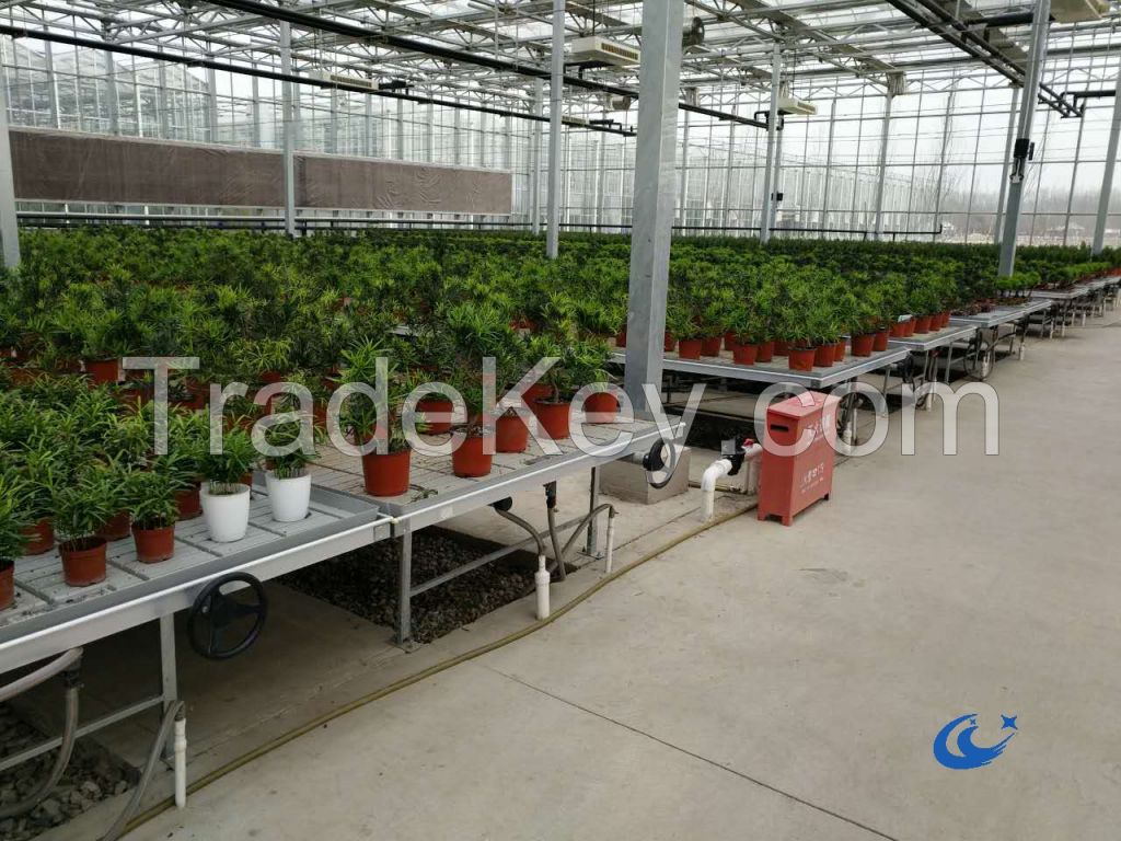 greenhouse rolling benchs