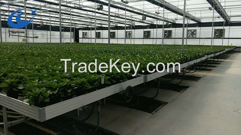 roling bench for greenhouse, movable seedbed with hot galvanized leg