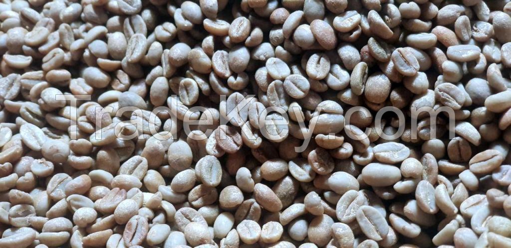 Specialty Natural Guji (Shakiso) Q1 Green Arabica Coffee Beans (LOT# CTW-Guji-Q1-19001)