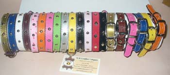Small Designed Leather Collars