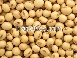 High Quality Soya Beans