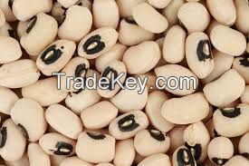 High Quality White Beans