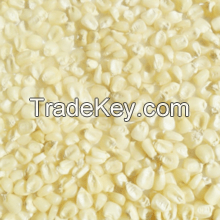 High Quality White Maize(Corn)