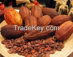 cocoa beans