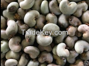 high quality raw cashew nuts