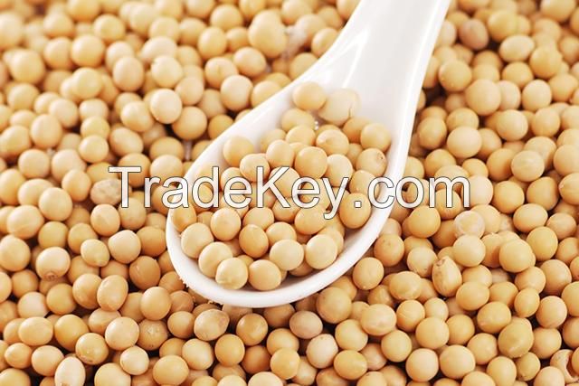 Premium quality Soya beans for sale