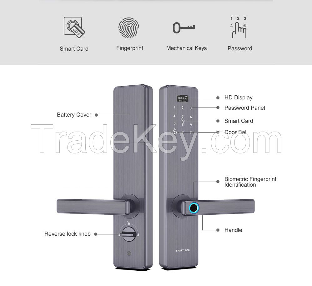 Fingerprint PIN code password Bluetooth Keyless Entry door locks auto-unlocking system