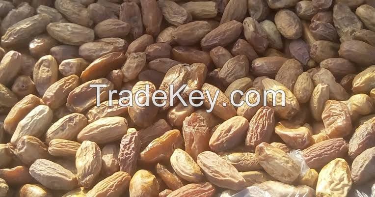 Dates(phoenix dactylifera