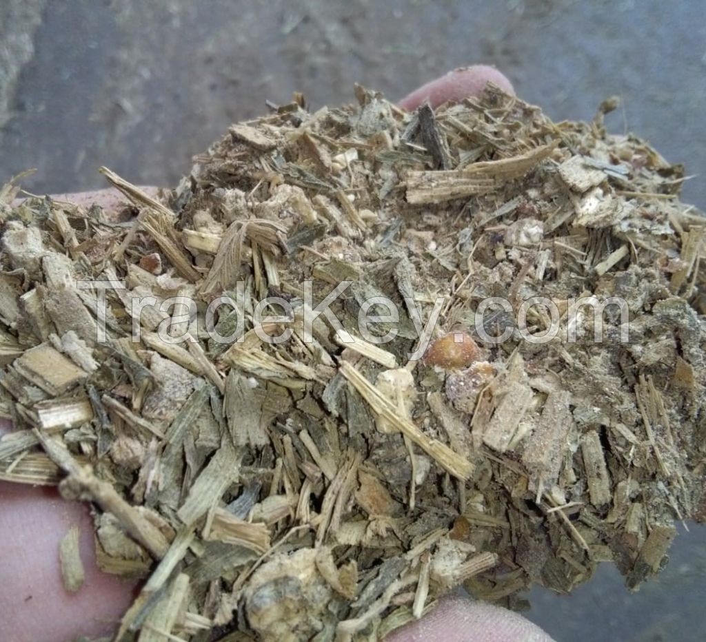 Dehydrated Silage Corn