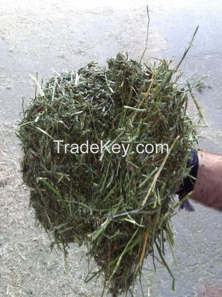 Dehydrated Alfalfa