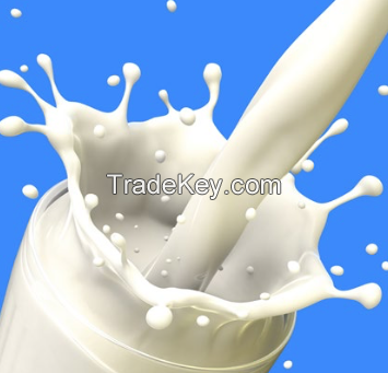 Instant Fat-filled Milk Powder