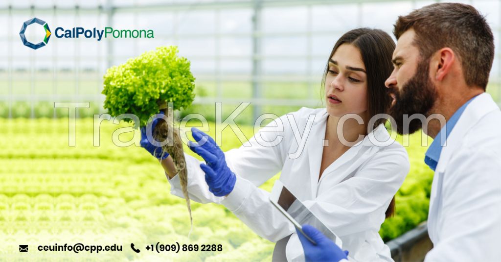 Agriculture 