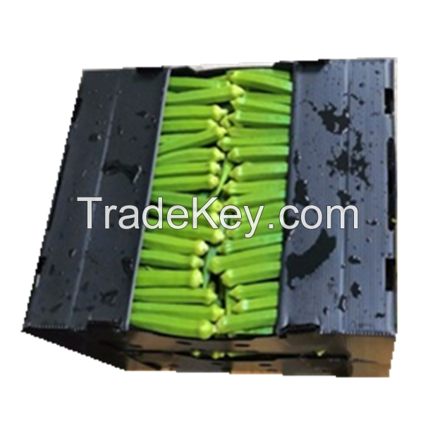 coroplast pp plastic okra packing box