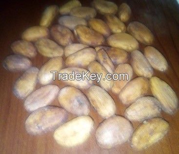 Cocoa beans