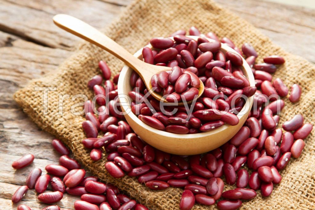 Wholesale Dried Dark Red Kidney Bean