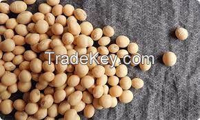 HIGH PROTEIN QUALITY SOYBEAN MEAL FOR SALE