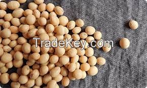 SOYBEANS