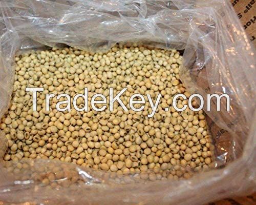 HIGH PROTEIN QUALITY SOYBEAN MEAL FOR SALE