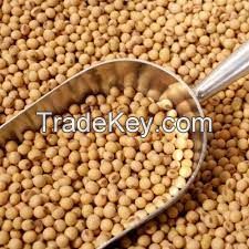 SOYBEANS