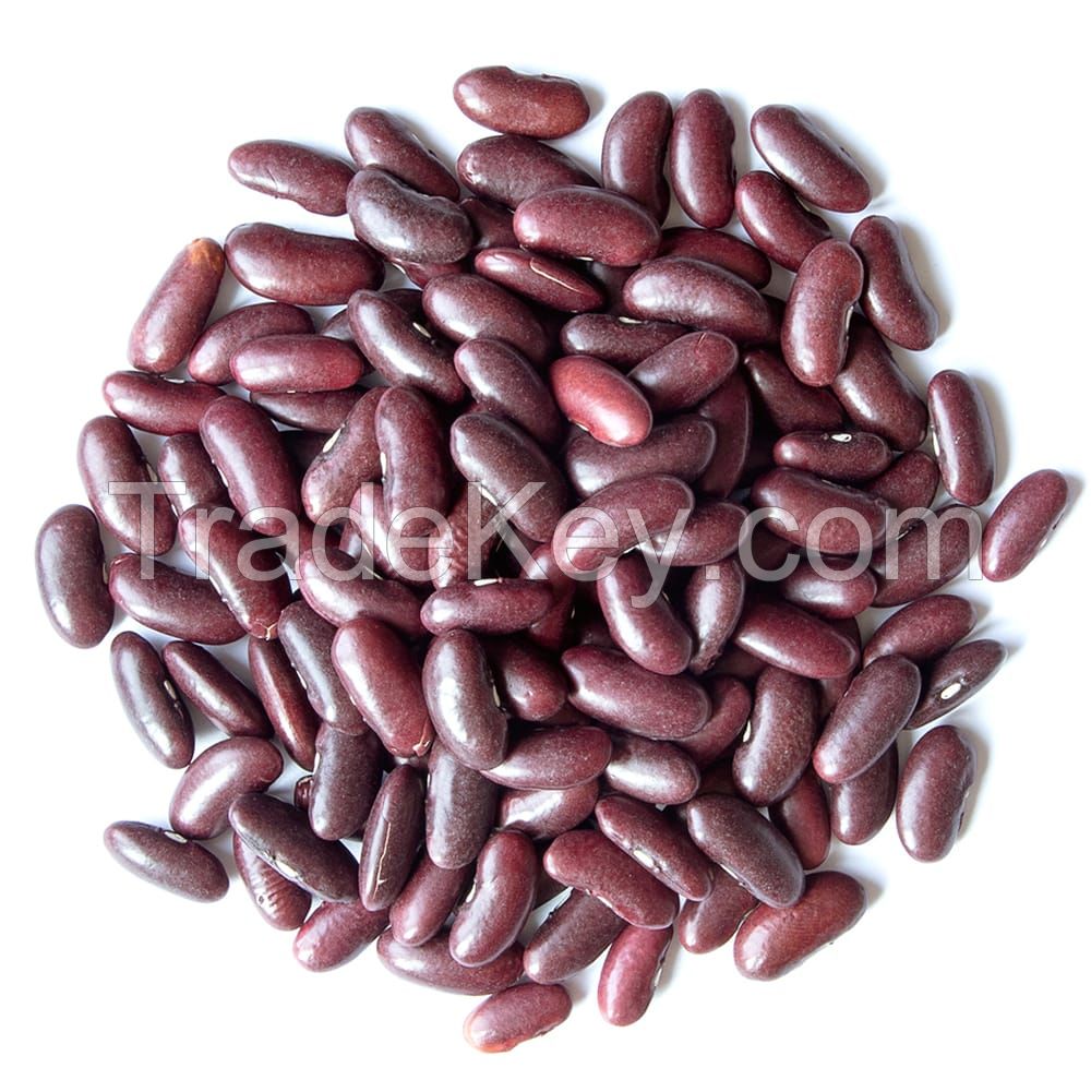 Wholesale Dried Dark Red Kidney Bean