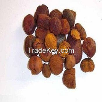 Buy Cow Gall Stones / Ox Gallstones at cheap price