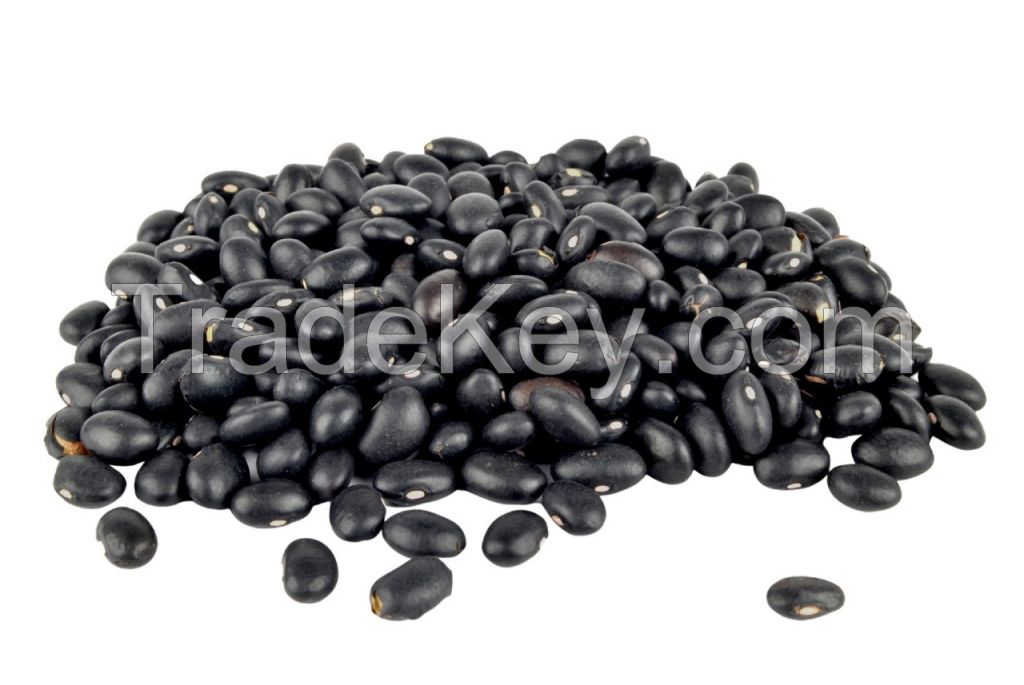 Black Beans