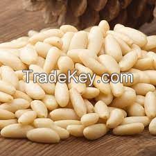 Pine Nut Kernels
