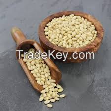 Pine Nut Kernels