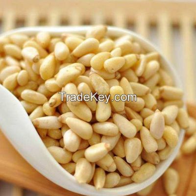 Pine Nut Kernels