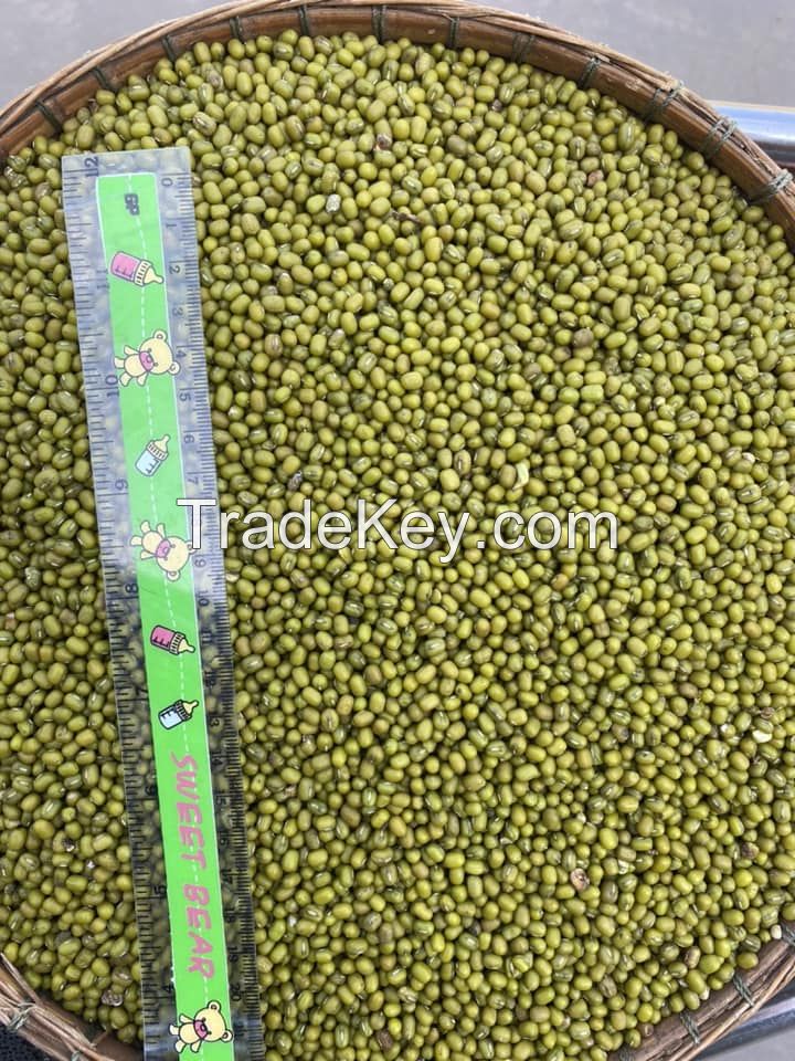 Wholesale Premium Grade Legumes Bean Dried Green Mung Beans