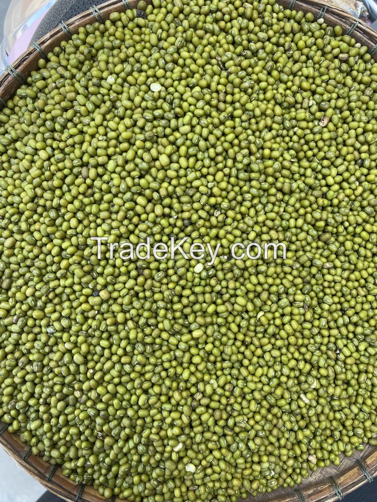 Wholesale Natural Organic High Quality Green Mung Beans Green Vigna Beans Green Gram Beans