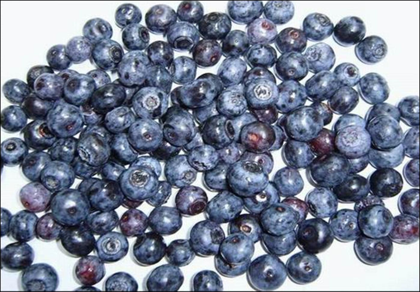 IQF blueberry