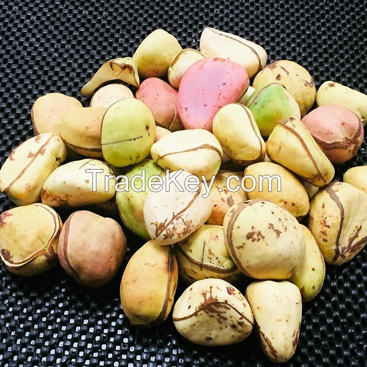 Kola Nuts