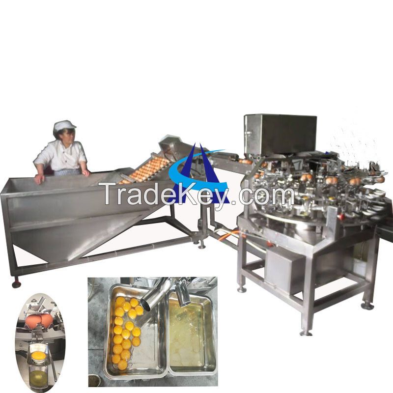 Egg Breaking Machine /egg processing machines supplier price