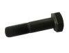China A325 Heavy Hex Bolt with Black - China Hex Bolt, Screw
