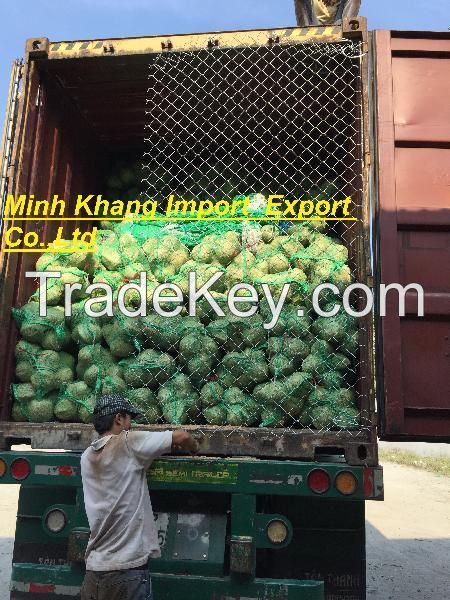 VIETNAM FRESH MATURE COCONUT