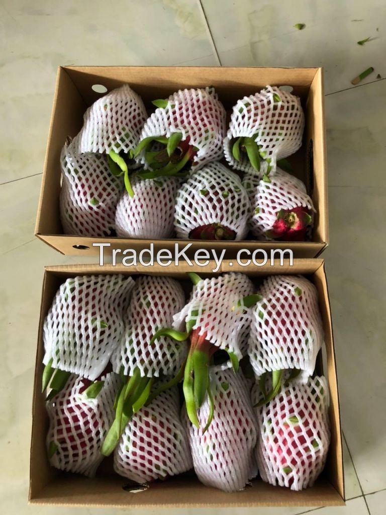 VIETNAM FRESH DRAGON FRUIT (White flesh)