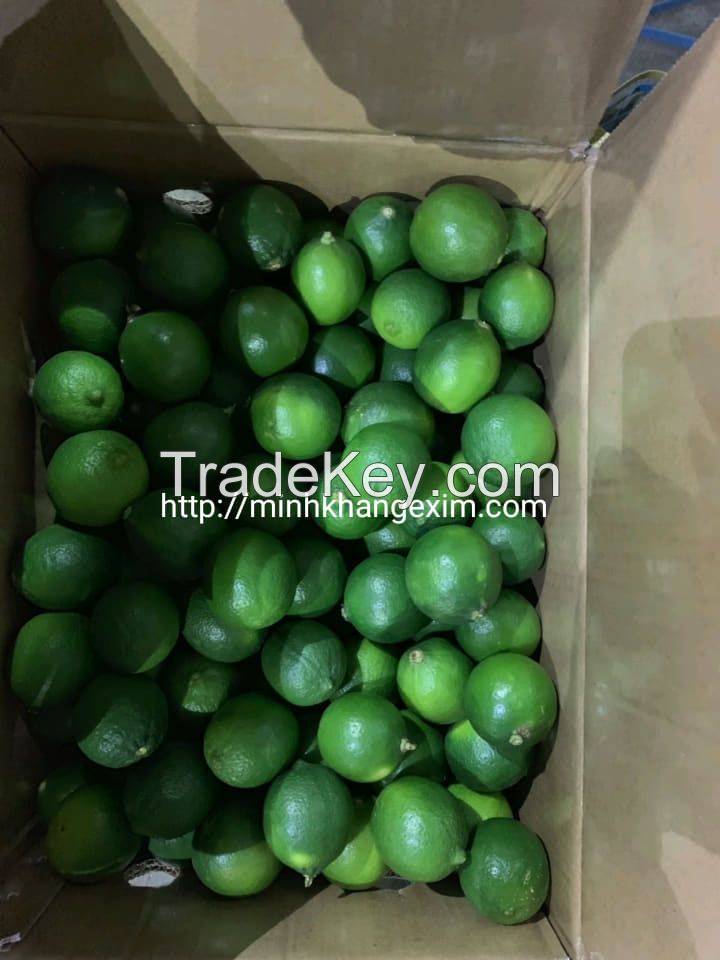 FRESH SEEDLESS LIME// VIETNAM