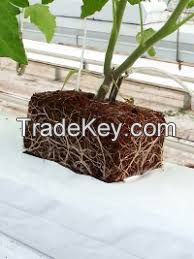 coco peat grow bags