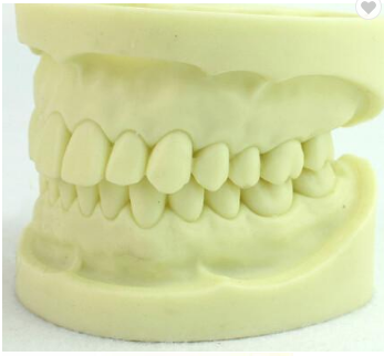 Direct factory supplied high quality and cheap price human 3d print to