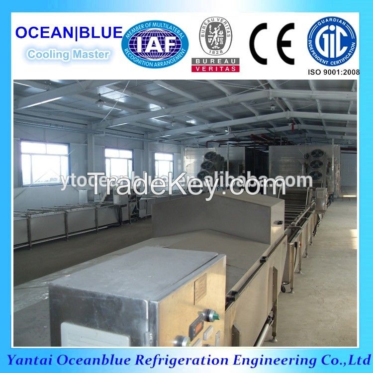 CE certification seafood freezing iqf tunnel blast freezer