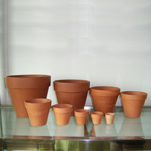 Terracotta planter