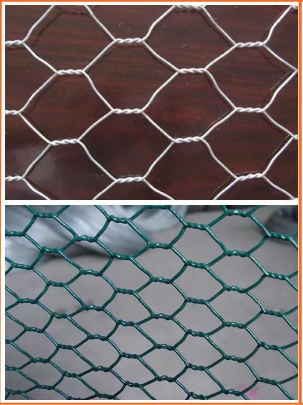 High quality galvanized hexagonal wire mesh pvc coated hexagonal wire