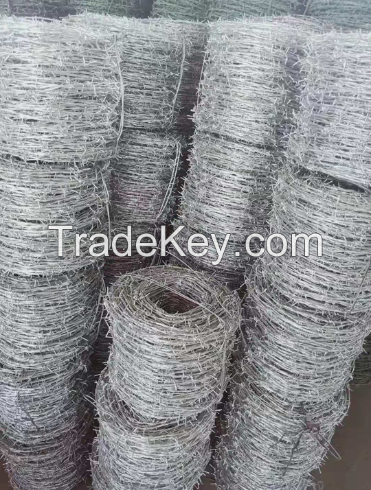 Razor Barbed Wire for Hot Sale in Sharp Quality with ISO9001