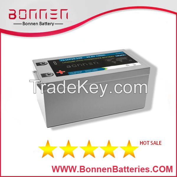 24V 100AH LiFePO4 Lithium Ion Battery Pack