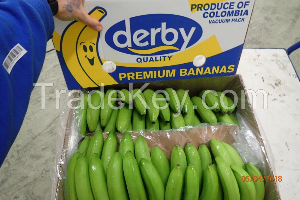 Cavendish bananas from Ecuador, Columbia, Costa Rica, Honduras