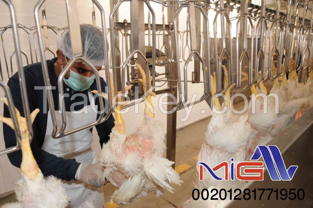 poultry slaughterhouse 500 bph